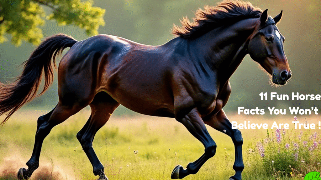 11 Interesting Facts About Horses