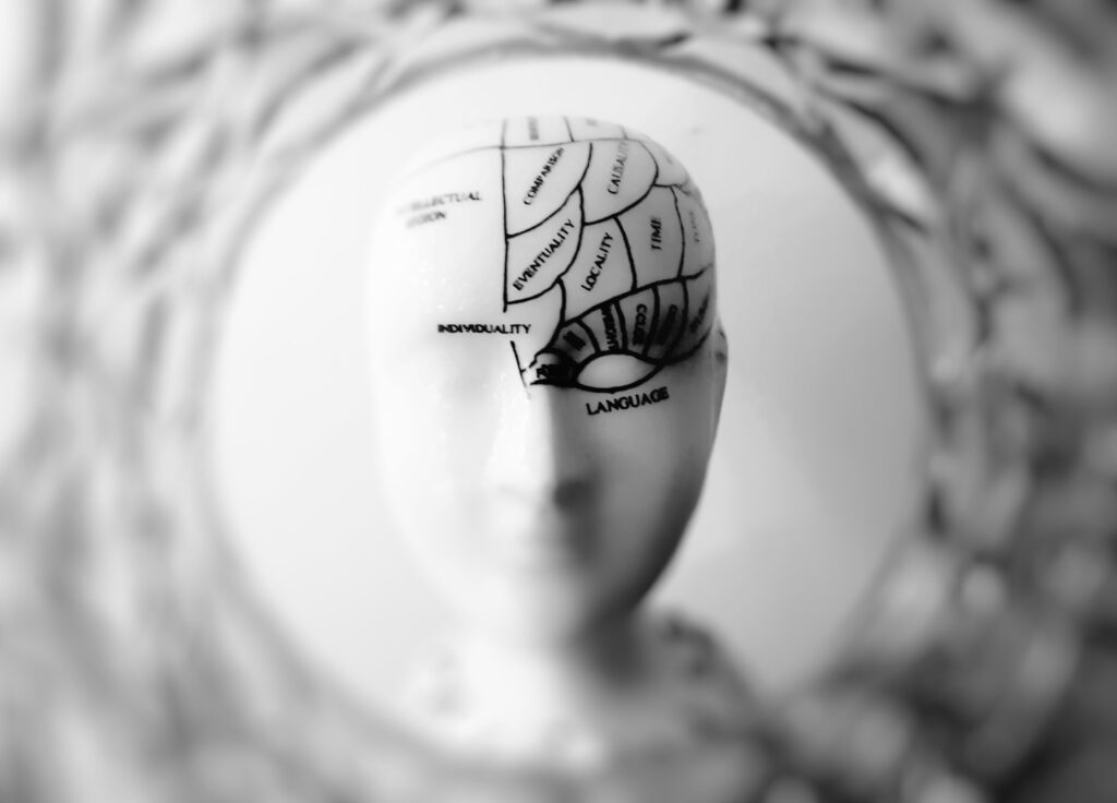 facts about human brain