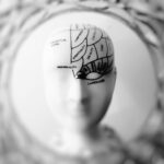 11 Fun Facts About human Brain